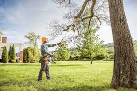 Reliable Utica, OH Tree Care Solutions