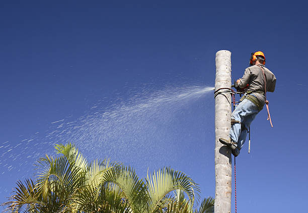 Lawn Irrigation Installation and Maintenance in Utica, OH